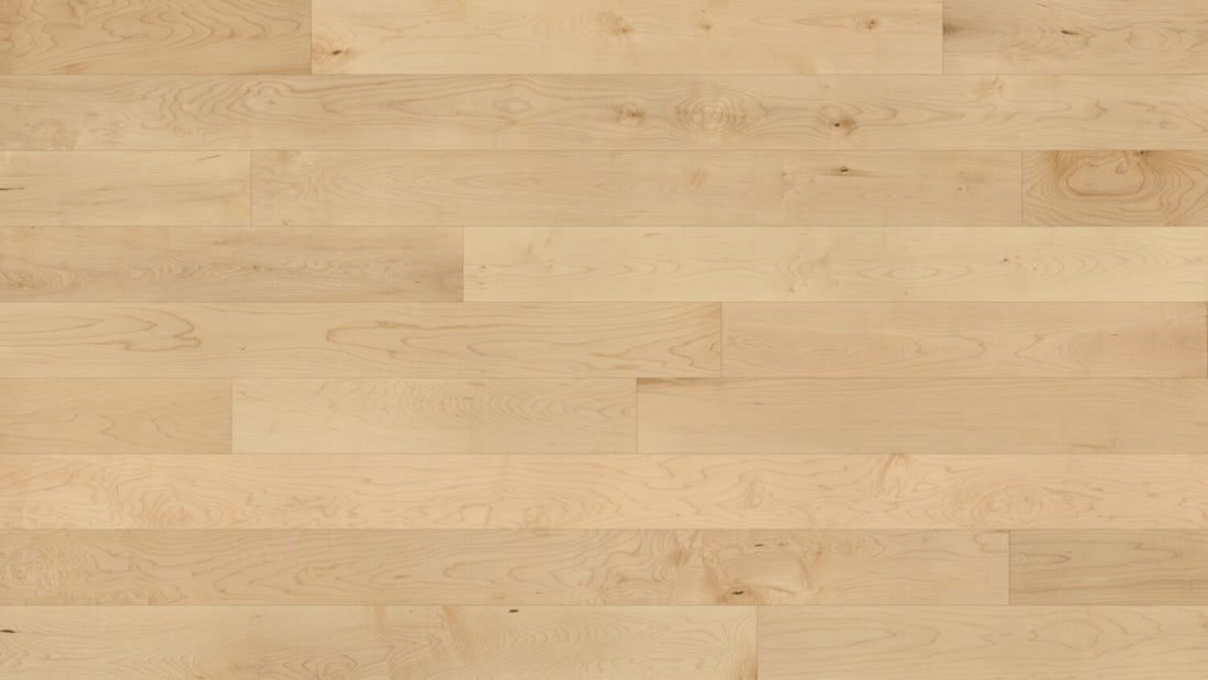 Maple Hardwood Flooring | Solid Classic Collection 4 1/4 in